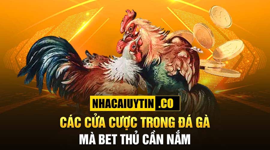 Các cửa cược trong đá gà mà anh em kê thủ cần nắm