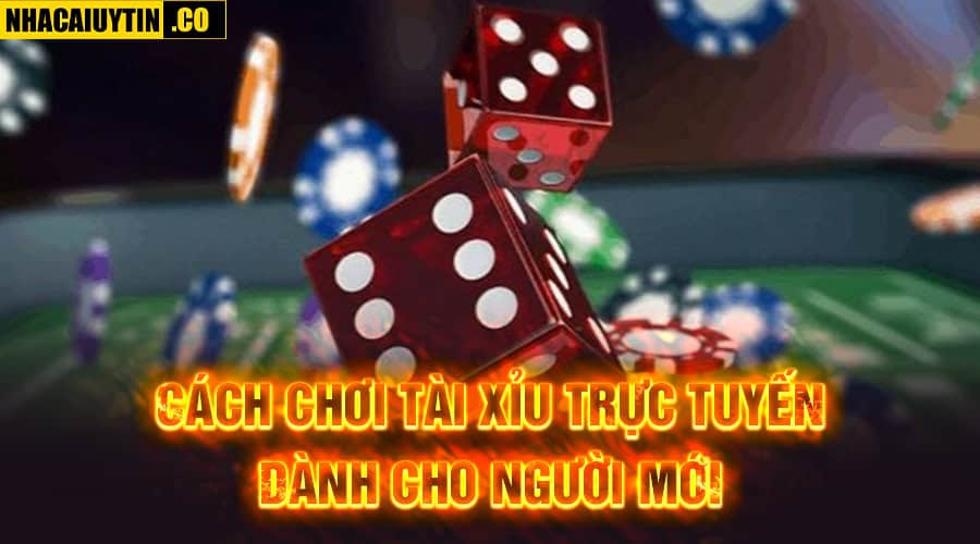 Cách chơi tài xỉu trực tuyến dành cho người mới